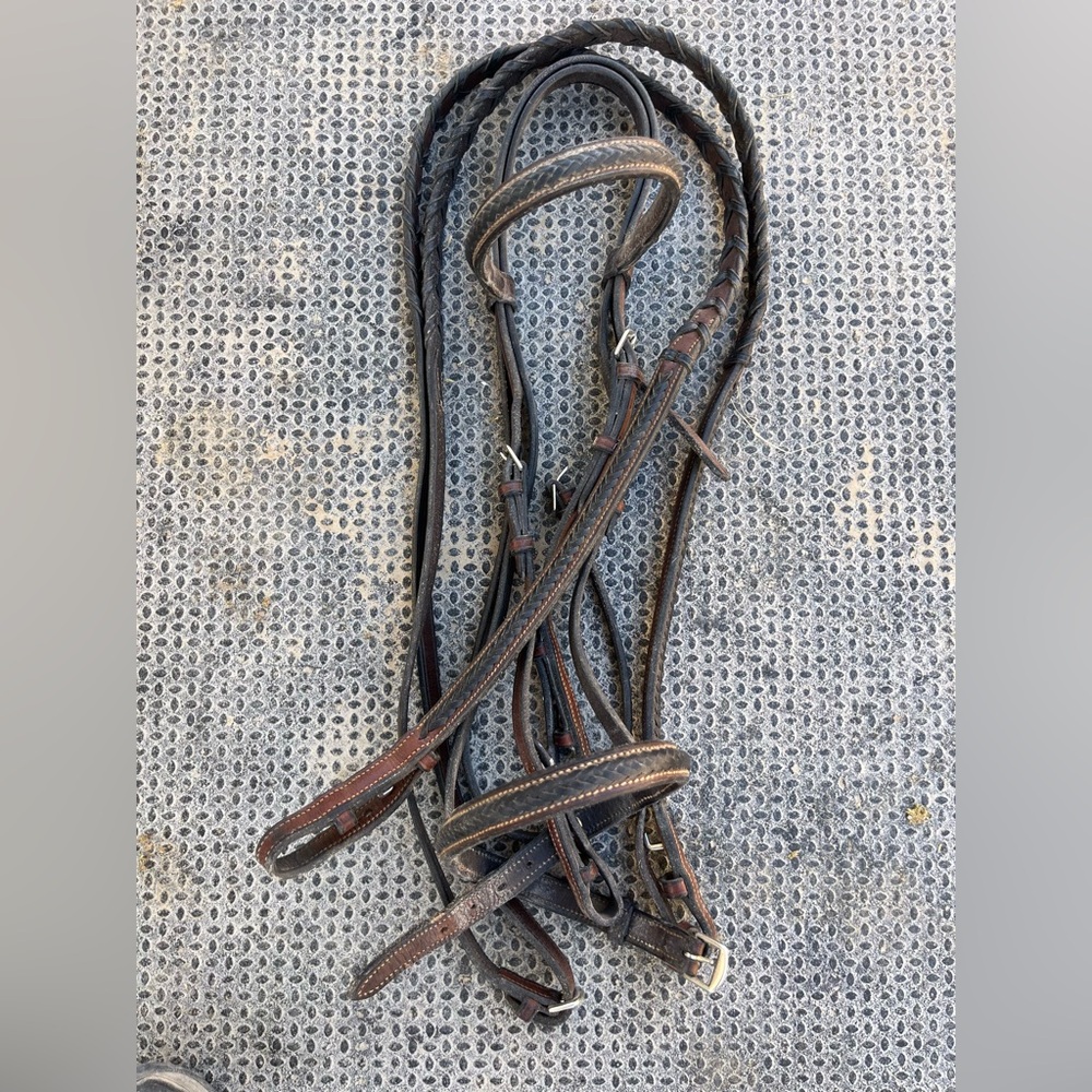 English Bridle Cob